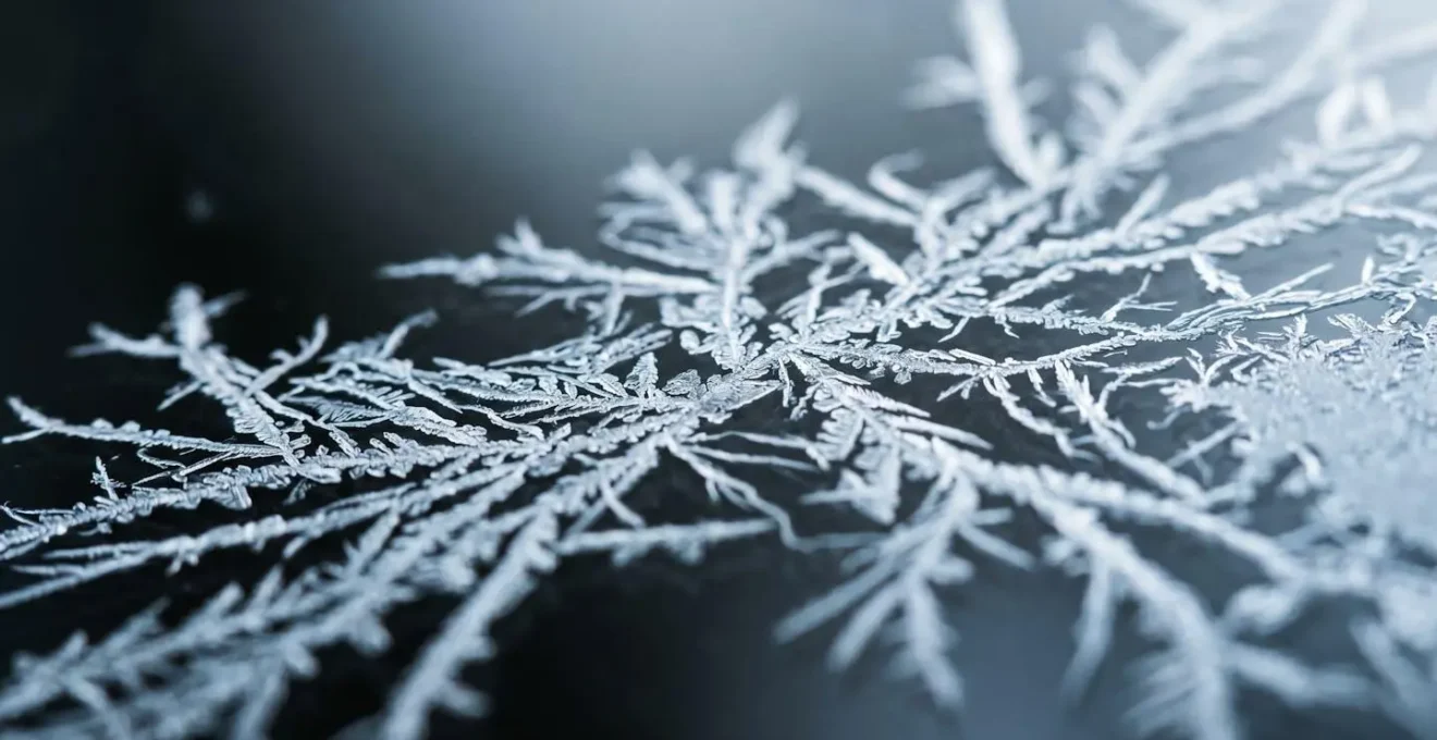 Close-up macro shot showing intricate neural-like patterns representing the precision of emotional identification in the brain