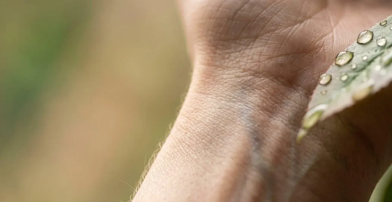 Close-up representation of physiological recovery and body readiness assessment