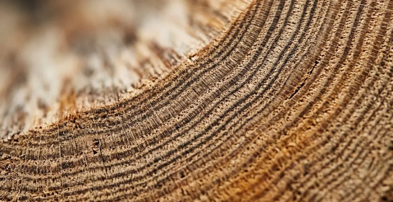 Extreme close-up macro photograph revealing the subtle textural variations and organic patterns that metaphorically represent heartbeat variability
