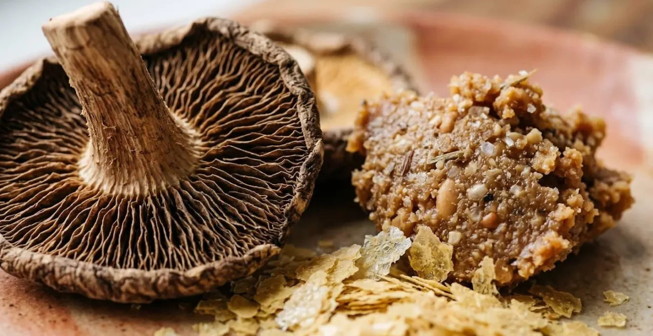An extreme close-up macro photograph revealing the intricate textures of umami-rich plant ingredients like dried shiitake mushrooms and miso paste with shallow depth of field